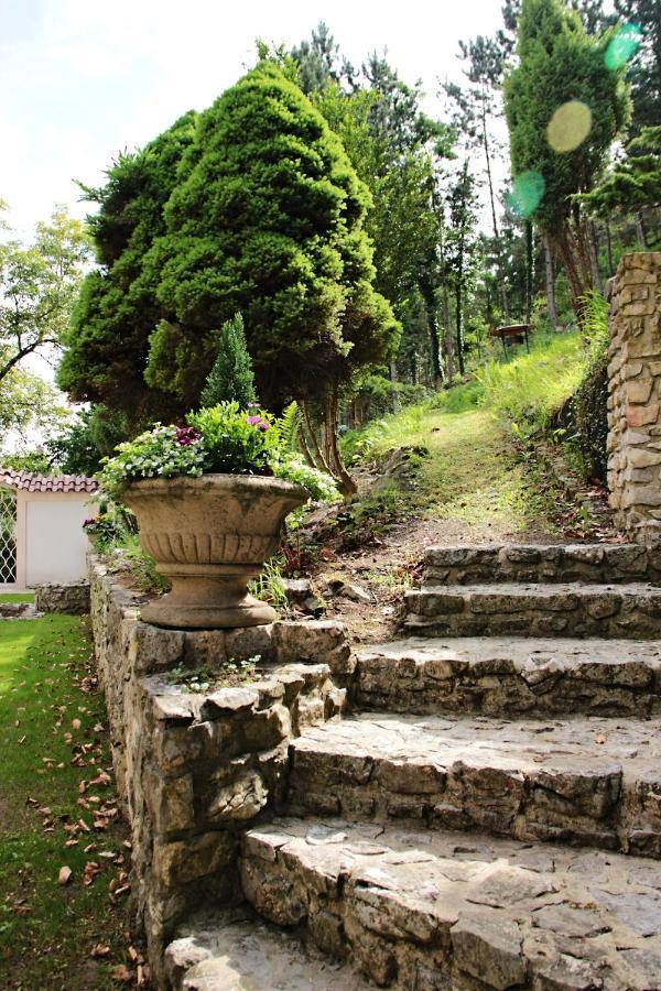 Vila Prag Εξωτερικό φωτογραφία